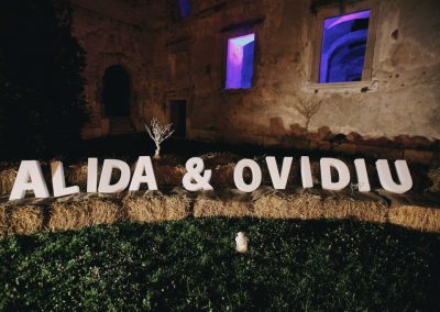 Alida + Ovidiu_610